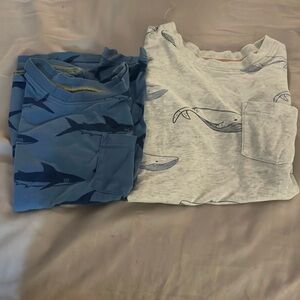 2 Boys Tea Collection shirts